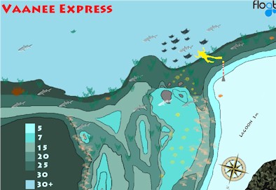 Vaanee Expressway